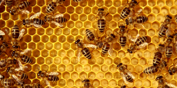 4 ways to scale your startup that go beyond the buzzwords