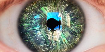 Facebook’s SlowFast video classifier AI was inspired by primate eyes