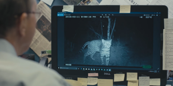 Google’s AI can identify wildlife from trap-camera footage with up to 98.6% accuracy