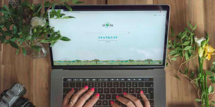 Ecosia on Chrome
