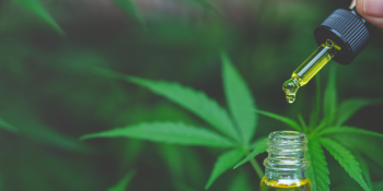 15 best CBD oils you can buy