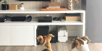 5 innovative ways to stream away the quarantine blues